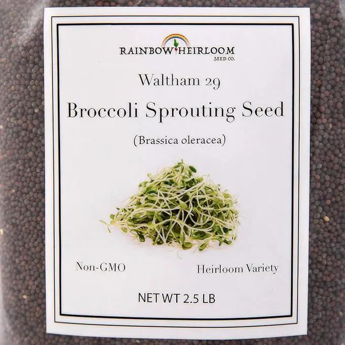 Broccoli Seeds for Sprouting & Microgreens | Waltham 29 Variety | Non GMO & Heirloom Seeds | Bulk 2.5 LB (40 oz) Resealable Bag | Rainbow Heirloom Seed Co. by GreenHaven Gardens
