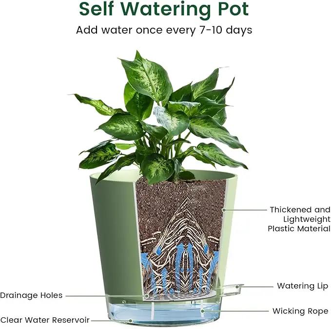 6 inch Self Watering Pots for Indoor Outdoor Plants, 6 Pack Flower Plant Pots with Drainage Holes and Clear Reservoirs, Visible Water Level, Plastic Planters with Wicking Rope, Green by GreenHaven Gardens