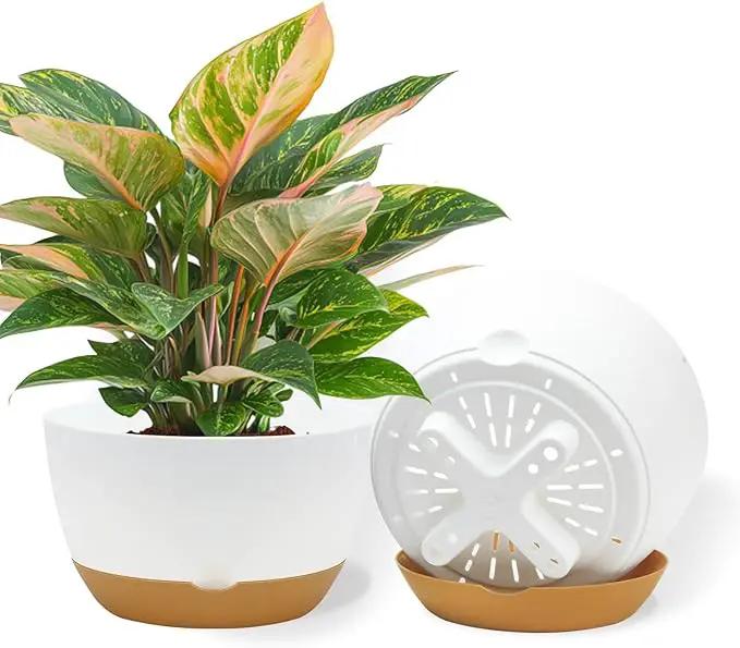 10 Inch Pots for Indoor Plants, Large Self Watering Planters with Drainage and Saucers, Plastic Outdoor Flower Pot, Set of 2, White by GreenHaven Gardens