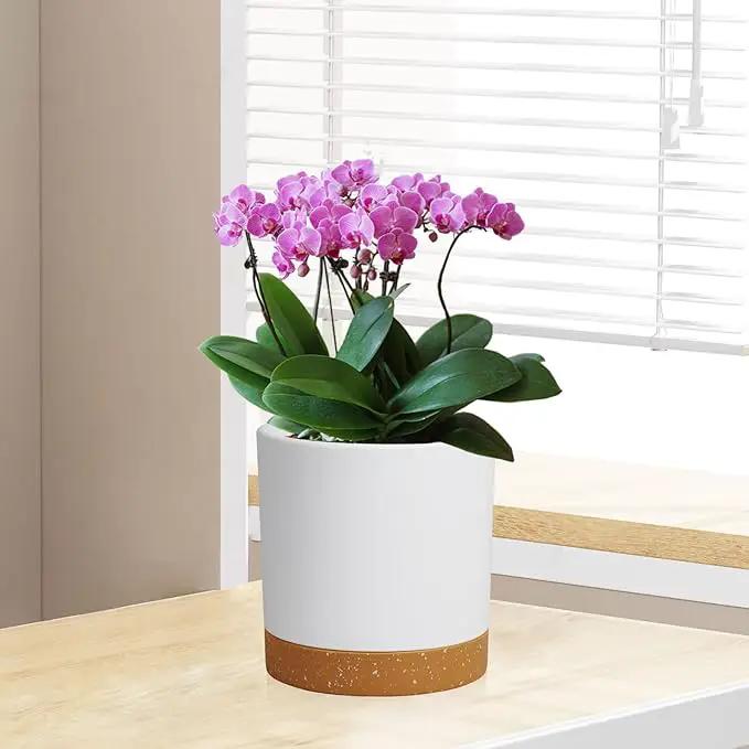 5 Pack Cylindrical Flower Pots with 7/6.5/6/5/4 inch, Modern Small Plastic Plant Pots with Drainage Holes & Saucers, Round Planter Pots for Outdoor, Indoor & Office Decor (White Brown) by GreenHaven Gardens
