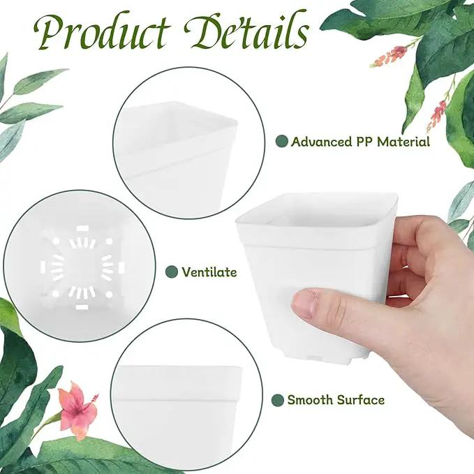 OJYUDD 72 Pcs 3 Inch White Square Plastic Pots with Saucer,White Plastic Plant Seedling Pots,Seedling Nursery Pots Indoor Outdoor for Succulents/Plant,Garden,Office and Balcony Decor by GreenHaven Gardens