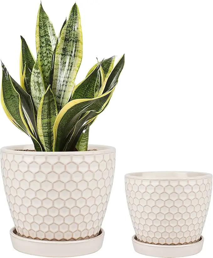 Docrin Ceramic Plant Pots Indoor: 6.6 + 5.5 Inch Planters with Drainage Holes and Saucer for Home/Office - Set of 2 /Milky White Honeycomb by GreenHaven Gardens