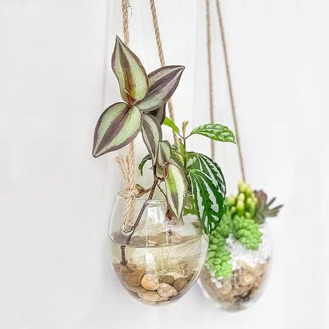 Wall Hanging Glass Planter Air Planter Terrarium Vase Propagation Stations for Hydroponic Plants, Succulent Moss Tillandsias Air Plants Globe,Home Office Garden Decor, Set of 2 by GreenHaven Gardens