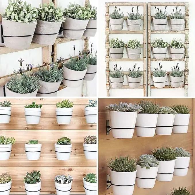 6 Pack 6in Flower Pot Holder Ring Wall Mounted Metal Planter Hooks Hangers Wall Bracket Wall Planter Hook (6, 6") by GreenHaven Gardens