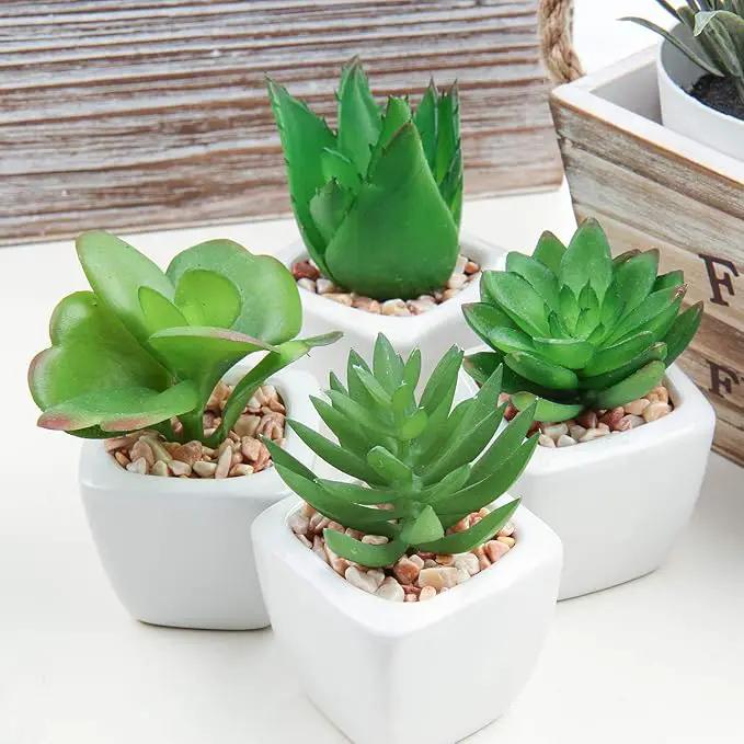 Hollyone Succulents Plants Artificial 4Pcs Small Fake Succulents in Pots Faux Plastic Potted Plants with White Ceramic Pot for Home Decor Office Desk Bathroom Shelf Indoor & Outdoor Decoration by GreenHaven Gardens