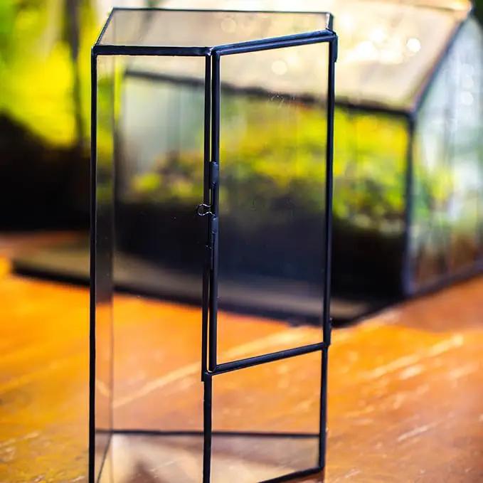 NCYP Front Opening Glass Terrarium with Door for Succulents, Small Plants - Closed Geometric Container Planter, Indoor Tabletop Wall Corner Landscape Decor, Black, 5" x 5" x 9.8" (Terrarium Only) by GreenHaven Gardens