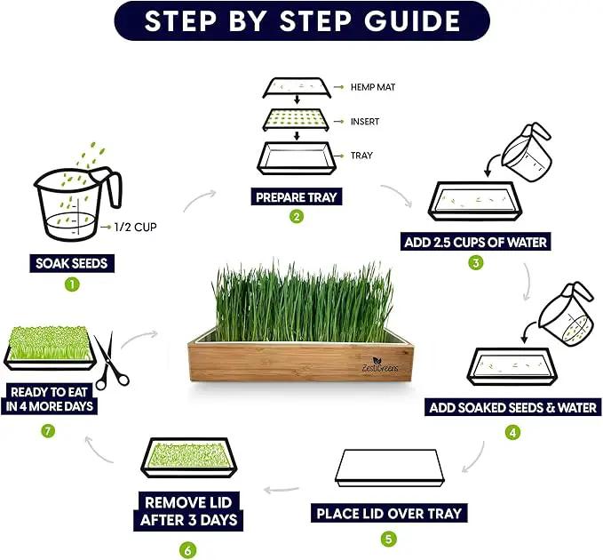 Self-Watering Cat Grass Kit. Hands Down The Easiest Way to Grow Cat Grass. Everything Included to Grow a Large Crop of Delicious Cat Grass. by GreenHaven Gardens