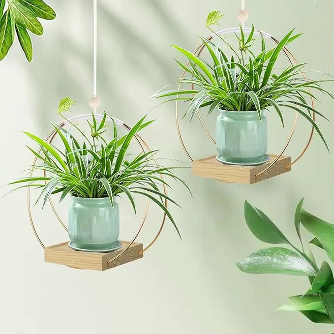 Hanging Planters for Indoor Plants, Plant Hanger with Sturdy Wood Base,Modern Boho Macrame Plant Hanger,Wall Ceiling Window Stands(Plants/Pots Not Included) by GreenHaven Gardens