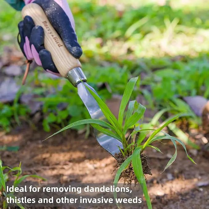 Berry&Bird Hand Weeder Tool, Stainless Steel Gardening Weed Puller, 12.1" Manual Weeding Removal Cutter Tool with Ash Wood Handle for Planting, Weeding, Flower & Vegetable Care in Garden Lawn Yard by GreenHaven Gardens