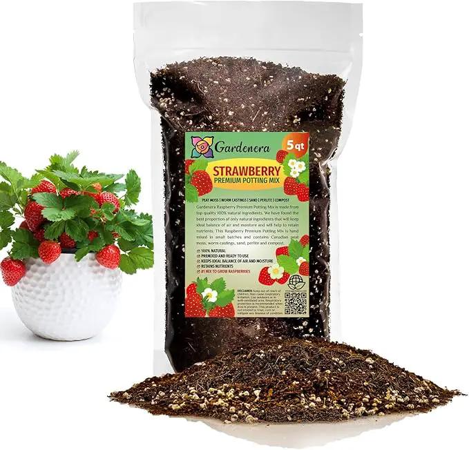Strawberry Premium Potting Soil Mix - Ideal Blend for Growing Robust and Flavorful Strawberries - 5 Quart by GreenHaven Gardens