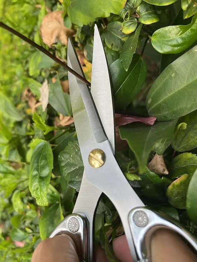 Indoor Plant Shears Bud Trimming Scissors, Japan SK5 Stainless Steel Floral scissors, Flowers Herbs and Stem Cutters, Clippers, Trimmers, Loppers, Bonsai Garden Pruning Scissors by GreenHaven Gardens