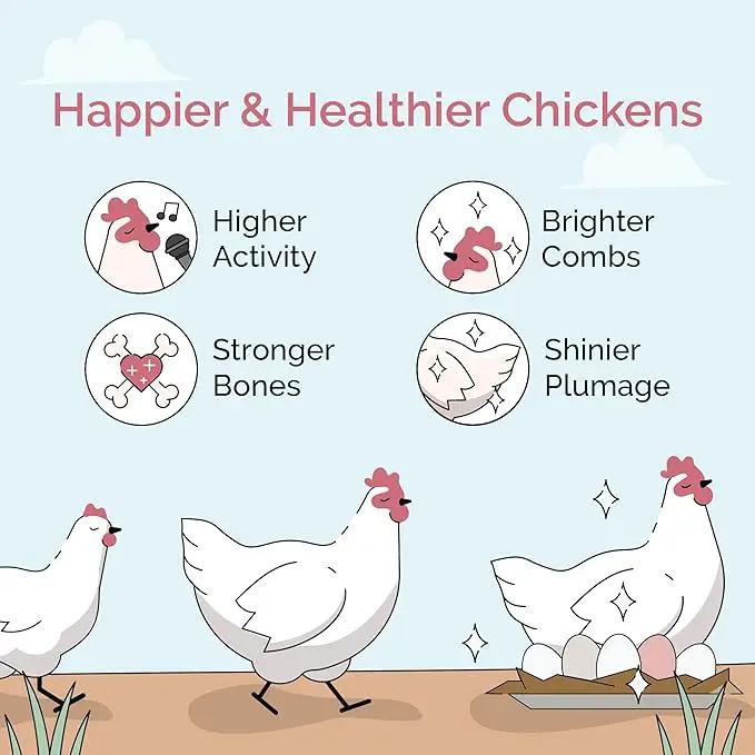 Chicken Grit for Layer & Grower Chickens Age 8-20+ Weeks - 100% Natural Mineral Chicken Grit Quartzite, Poultry Grit, USA Mined, 50 lbs by GreenHaven Gardens