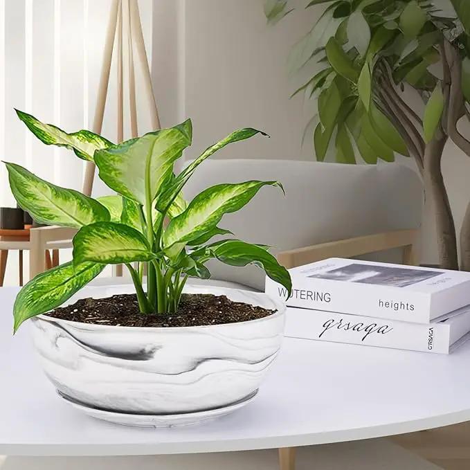 G EPGardening 10Inch Large Planter Pot Marble Pattern Ceramic Succulent Planter Big Plant Pot Succulents Container Flower Pot Indoor Outdoor Decor by GreenHaven Gardens