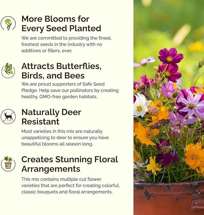Eden Brothers Crazy for Cosmos Flower Mixed Seeds for Planting, 50 lb, 24,000,000+ Seeds with Cosmos Gloria, Pinkie, Purity, Attracts Pollinators, Plant in Spring or Fall, Zone 3, 4, 5, 6, 7, 8, 9, 10 by GreenHaven Gardens