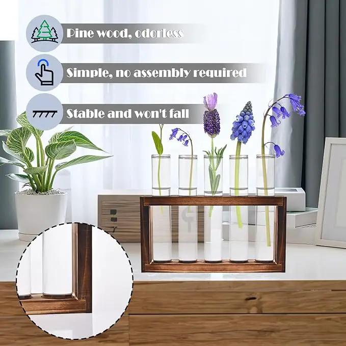 Desktop Glass Plant Propagation Station with 5 Test Tubes in Wooden Stand - Hydroponic Plants Cutting Office Home Decoration and Garden Decor Terrarium (5 Tubes) by GreenHaven Gardens