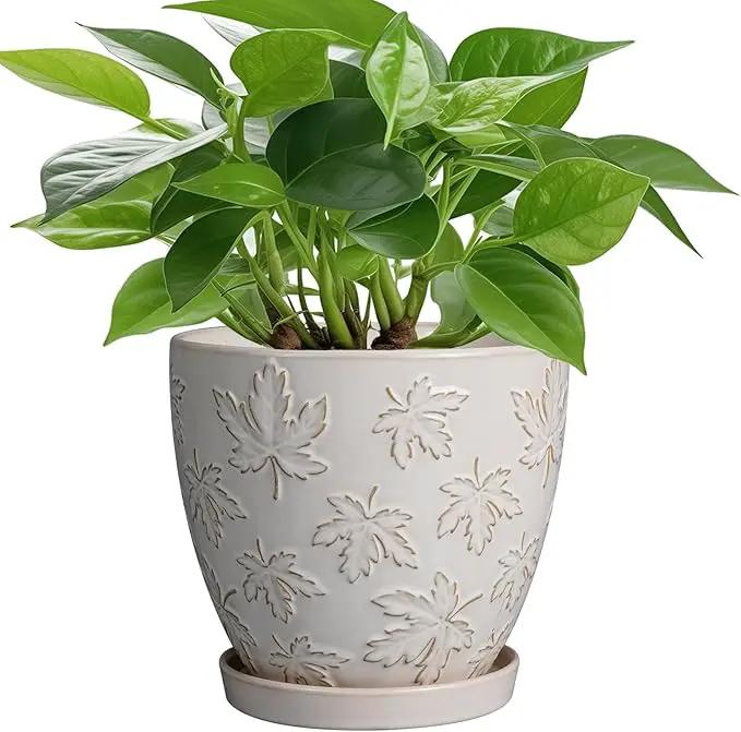Ceramic Plant Pot 6 Inch - Ceramic Planter with Drainage Hole and Saucer Round Planter Flower Pot for Indoor Plants Outdoor Home Garden Office Decor White by GreenHaven Gardens