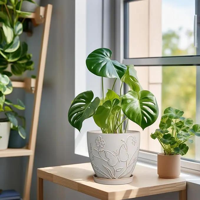 6 Inch Ceramic Plant Pot for Indoor Plants Outdoor Round Planter Flower Pot with Drainage Hole and Saucer for Home Garden Office Decor White by GreenHaven Gardens