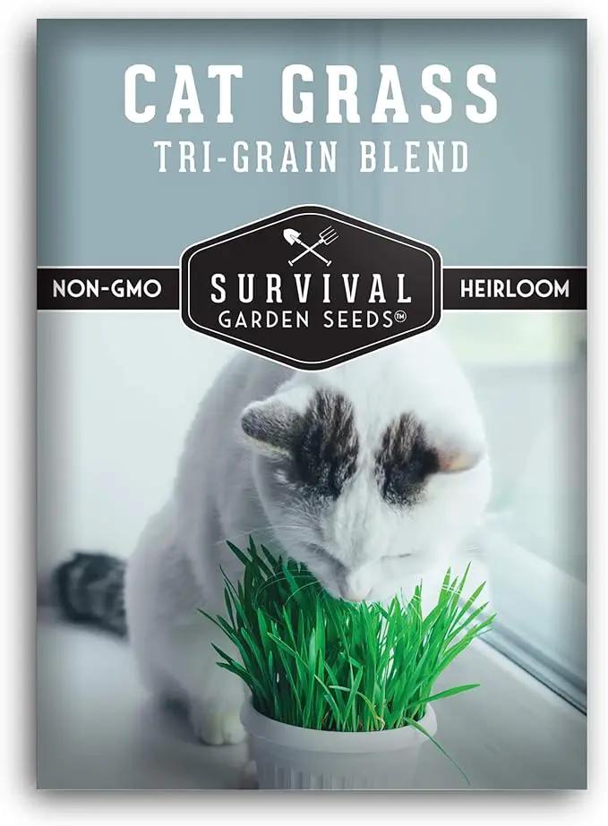 Cat Grass Seed for Planting - Packet with Instructions to Plant & Grow Greens for Your Pet Indoors or Outdoors in a Container or Garden - Non-GMO Heirloom Variety - Survival Garden Seeds by GreenHaven Gardens