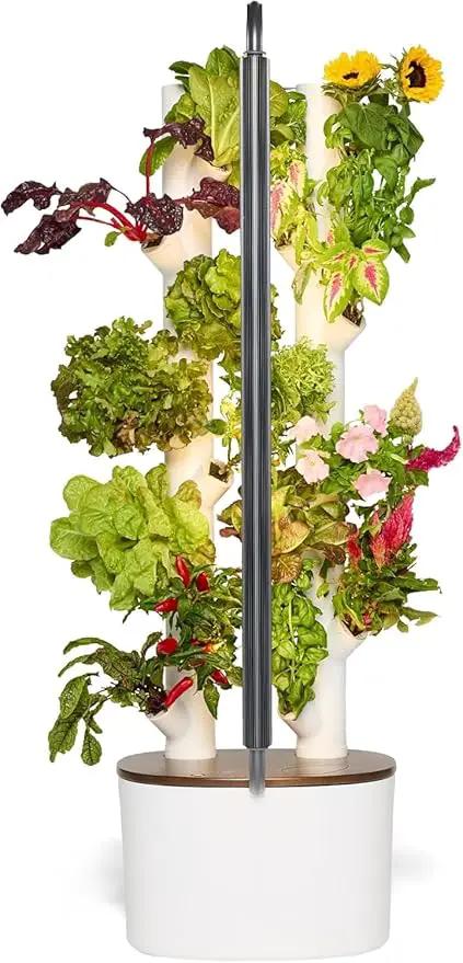 Gardyn Studio Hydroponics Growing System Kit & Vertical Indoor Garden Planter | Smart Herb Garden | Includes 16 Non-GMO Indoor Plants, Herbs, Vegetables & LED Grow Light for Your Home Gardening System by GreenHaven Gardens