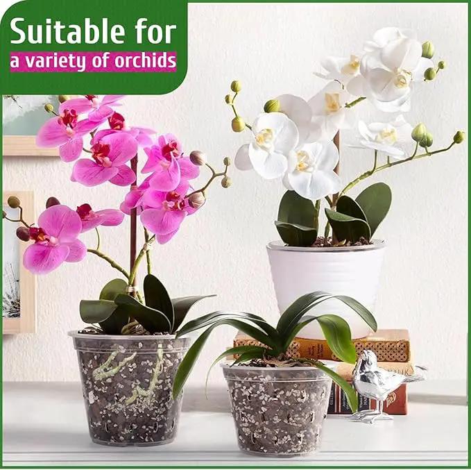 REMIAWY Orchid Pot, 6 Pack Orchid Pots with Holes, 5.5 Inch Clear Plastic Flower Planters for Repotting Indoor Outdoor, Breathable Slotted Nursery Planter by GreenHaven Gardens
