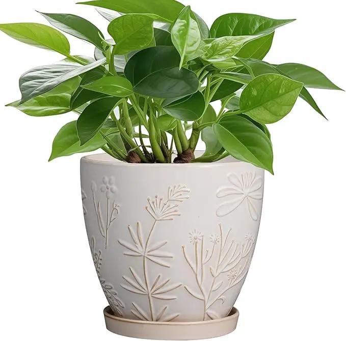 6 Inch Ceramic Plant Pot for Indoor Plants Outdoor Round Planter Flower Pot with Drainage Hole and Saucer for Home Garden Office Decor White by GreenHaven Gardens