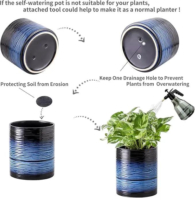 Nihow Self Watering Plant Pot: 6 Inch Ceramic Planter with Drainage Hole & Water Storage Plus for Indoor & Outdoor Plants - Cylinder Round Flower Pot for Succulent/Herbs/Violets - Black & Vivid Blue by GreenHaven Gardens
