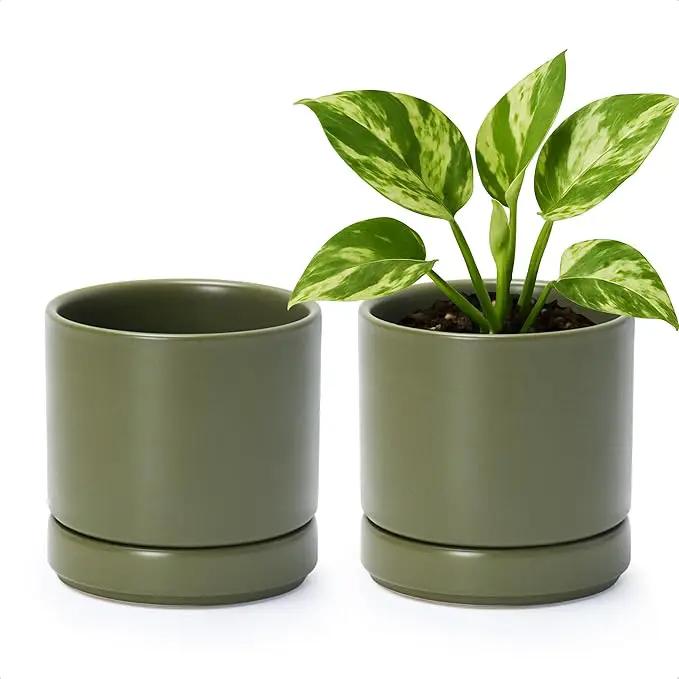 D'vine Dev Set of 2 Plants Pots, 4.7 Inch Ceramic Planter Pot for Plants with Drainage Hole and Saucer, Olive, 94-V-B-J by GreenHaven Gardens