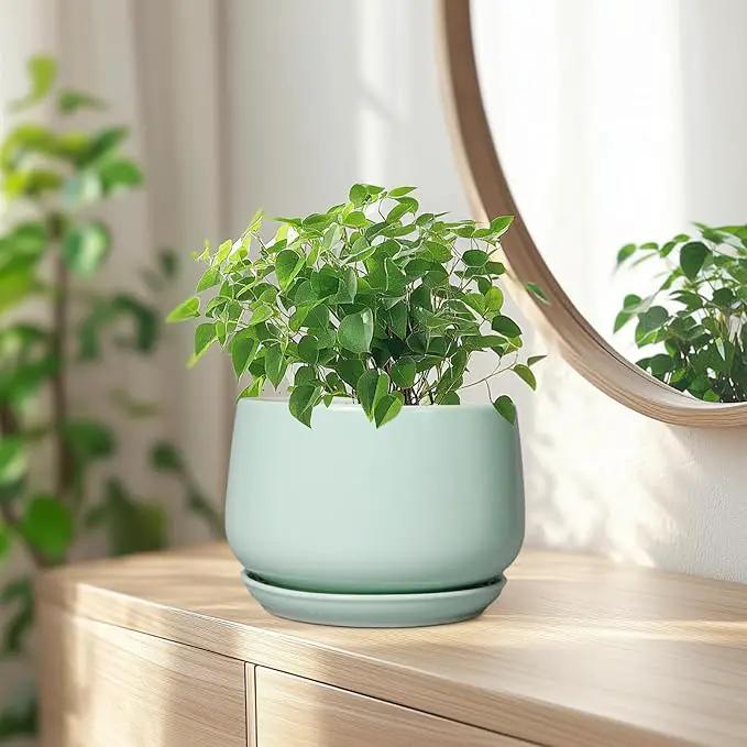 G EPGardening Ceramic Plant Pots - 7 Inch Planter for Indoor Outdoor Plants, Ceramic Planter with Drainage and Saucer, Round Modern Flower Pots, House Decor, Gift for Men Women, Green by GreenHaven Gardens