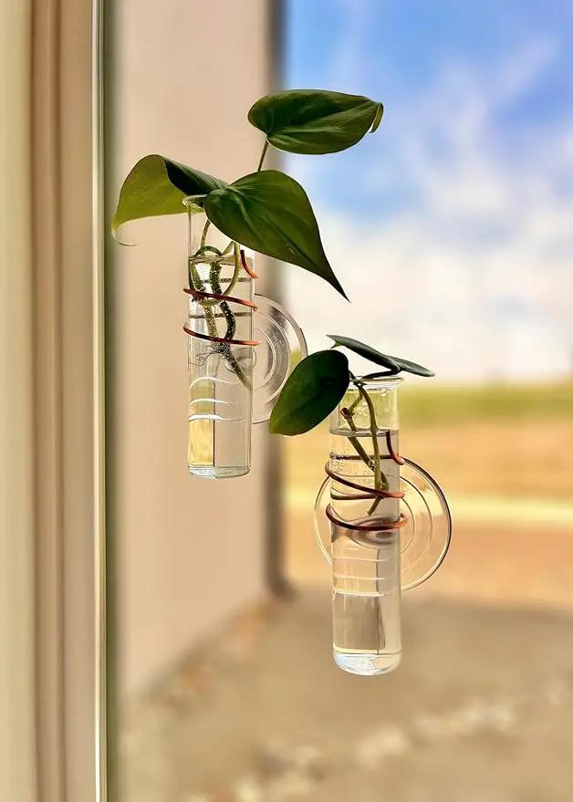 The Little Window Propagator | Window Propagation Station with Removable Glass Tubes, Indoor Plant Clippings, Cut Flowers, Herbs, Succulents | Home Decor | Plant Lover Gift (2) by GreenHaven Gardens