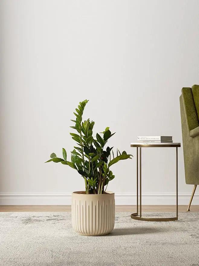 LE TAUCI Fluted Ceramic Planters Set of 3 – 8.3/7 / 5.7 in Cloud Cream Reactive Cylinder Indoor Plant Pots with Drainage Plug & Mesh, Glossy Stoneware Flower Pots for Succulents Herbs by GreenHaven Gardens
