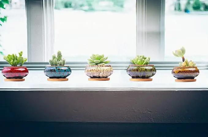 Cute Ceramic Succulent Garden Pots, Planter with Drainage and Attached Saucer, Set of 5 -Plants Not Included (Burner) by GreenHaven Gardens