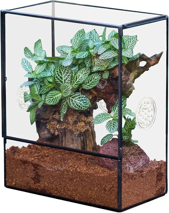 NCYP Glass Terrarium with Front Opening Door and 3 Vents for Insects, Snail, Spider, Glass Enclosure - 8"x4.5"x10" Clear Closed Plant Greenhouse Box (Terrarium Only) by GreenHaven Gardens