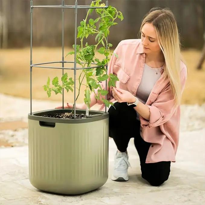 Vego garden Tomato Planter Box with Trellis Self-Watering Rolling Raised Garden Bed for Climbing Vegetables Plants Cage - Sage Green by GreenHaven Gardens