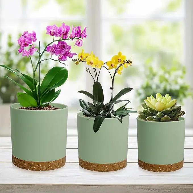 5 Pack Cylindrical Flower Pots with 7/6.5/6/5/4 inch, Modern Small Plastic Plant Pots with Drainage Holes & Saucers, Round Planter Pots for Outdoor, Indoor & Office Decor (Green Brown) by GreenHaven Gardens