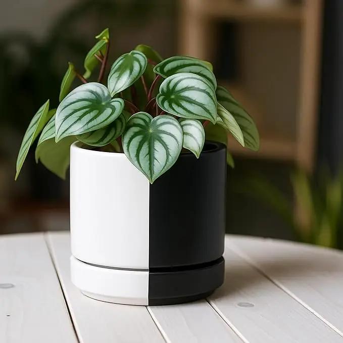 D'vine Dev 4.7 Inch Ceramic Planter Pot with Drainage Hole and Saucer, Indoor Cylinder Round Planter Pot, Split Monochrome Black & White, 94-O-B-0 by GreenHaven Gardens