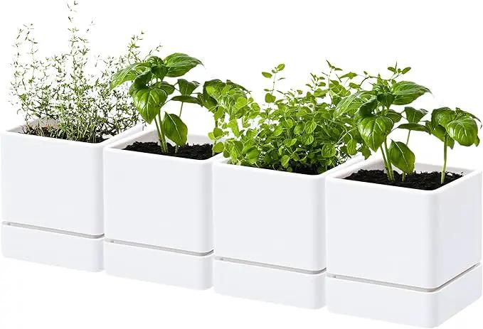 4 Inch Herb Planter Pot, Plastic Planter with Drainage Holes and Saucer, Modern Decorative Gardening Pot for Indoor Plants, Flowers, Herbs, Succulents, White, Set of 4, 76-Y-A-4 by GreenHaven Gardens