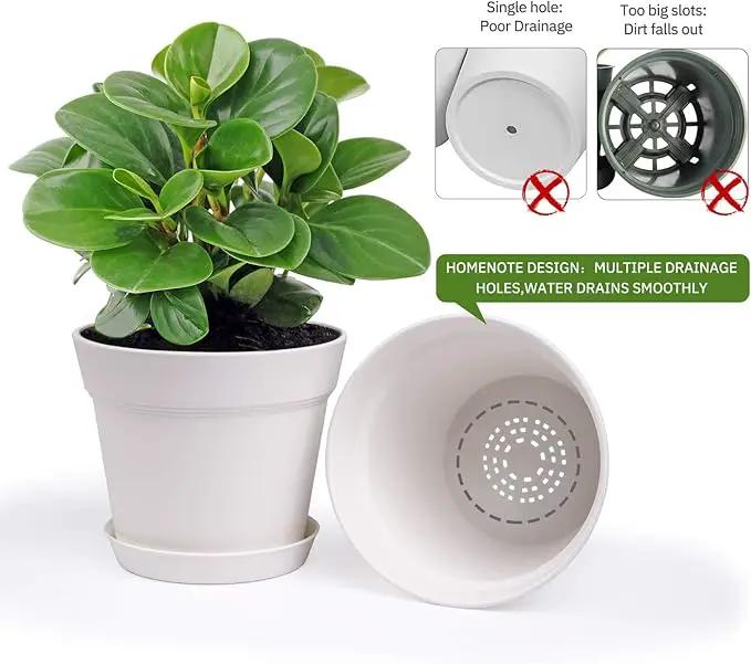 Homenote Pots for Plants, 15 Pack 6 Inch Plastic Planters with Multiple Drainage Holes and Trays,Plant Pots for All Home Garden Flowers Succulents (White) by GreenHaven Gardens