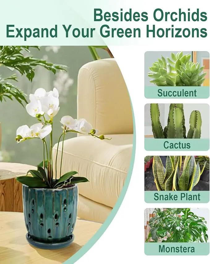 vensovo 6 Inch Ceramic Orchid Pot - Orchid Pot with Holes for Repotting, Ceramic Planter with Saucer for Indoor/Outdoor Plants, Green by GreenHaven Gardens