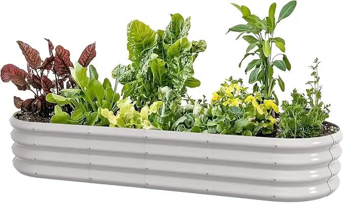 6x2x1ft Oval Galvanized Raised Garden Bed Outdoor 9-in-1 Large Metal Modular Planter Box Raised Beds for Gardening,Vegetables,Fruits,Flowers & Herbs (White) by GreenHaven Gardens