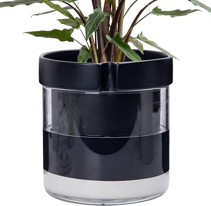 Phoenix Vine 8 Inch Self Watering Terracotta Planter, Black Terracotta Clay Pot with Glass Reservoir for Indoor Plants, Herbs, Flowers, Set of 1, 52-C-H-1 by GreenHaven Gardens