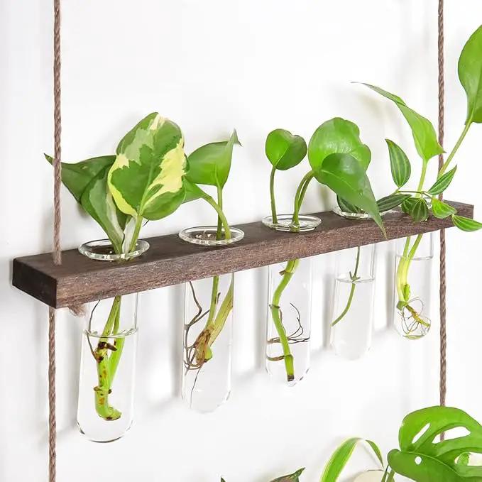 Ivolador Hanging Plant Propagation Tubes,3 Tiered Wall Hanging Terrarium Flower Planter Vase for Hydroponic Plants Cutting Home Office Garden Decor Plant Lover Gift by GreenHaven Gardens