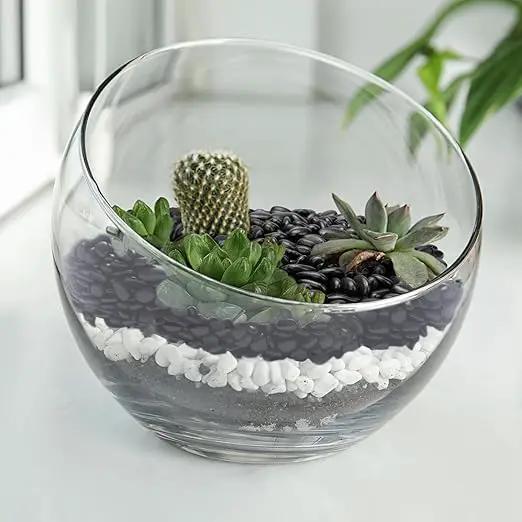 2.5 lbs Black Pebbles for Indoor Plants, Succulent, Bamboo, Vase, 3/8" Plant Rocks for Pots Indoor, Small River Rocks Decorative Pea Gravel, Highly Polished by GreenHaven Gardens