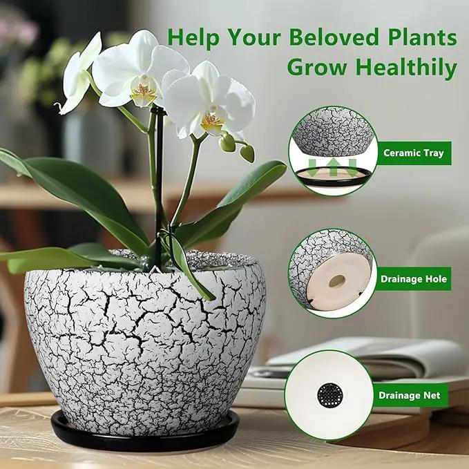 Ceramic Planters for Indoor Plants - 10 Inch Plant Pot with Drainage Hole and Saucer, Large Flower Pot for Home Decor, White/Black by GreenHaven Gardens
