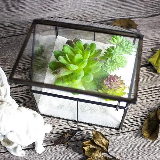 Ferrisland Glass Plant Terrarium Container Wardian Case Indoor Small Succulent Terrarium Planter w/Door for Tabletop Decor DIY - 5.0"x4.3"x4.3" by GreenHaven Gardens