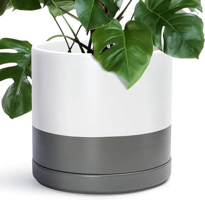 D'vine Dev 14 Inch Ceramic Planter Pot with Drainage Hole and Saucer, Indoor Cylinder Round Planter Pot, White/Speckled Grey, 94-O-G-6 by GreenHaven Gardens