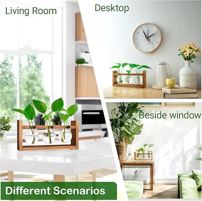 Plant Propagation Station,Plant Terrarium,Plant Starter,Gifts for Plant Lovers,Glass Bulb Terrarium with Retro Solid Wooden Stand for Hydroponics Plants Home Garden Wedding Décor (3 Bulbs) by GreenHaven Gardens