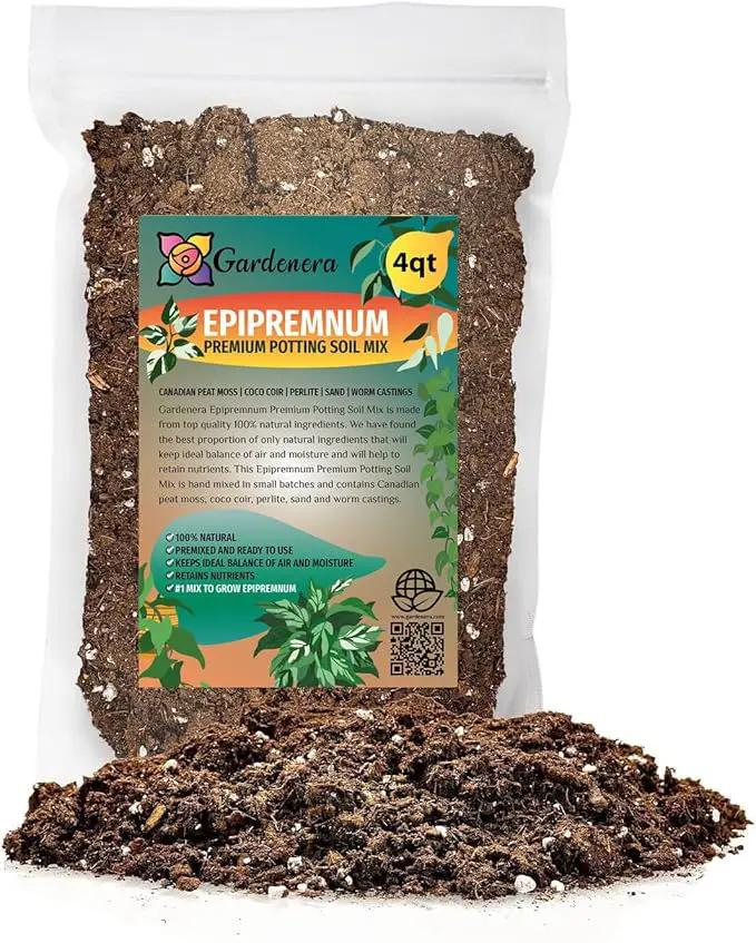 Epipremnum Potting Mix - Promote Strong Roots and Luxurious Leaves with Our Premium Blend - 4 Quart by GreenHaven Gardens