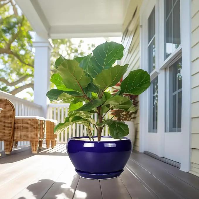 Ceramic Planter - 13 Inch Indoor Plant Pot for Plants with Drainage Hole and Saucer Large Planter Round Outdoor Flower Pot Mid-Century for House Patio Room Decor Blue by GreenHaven Gardens