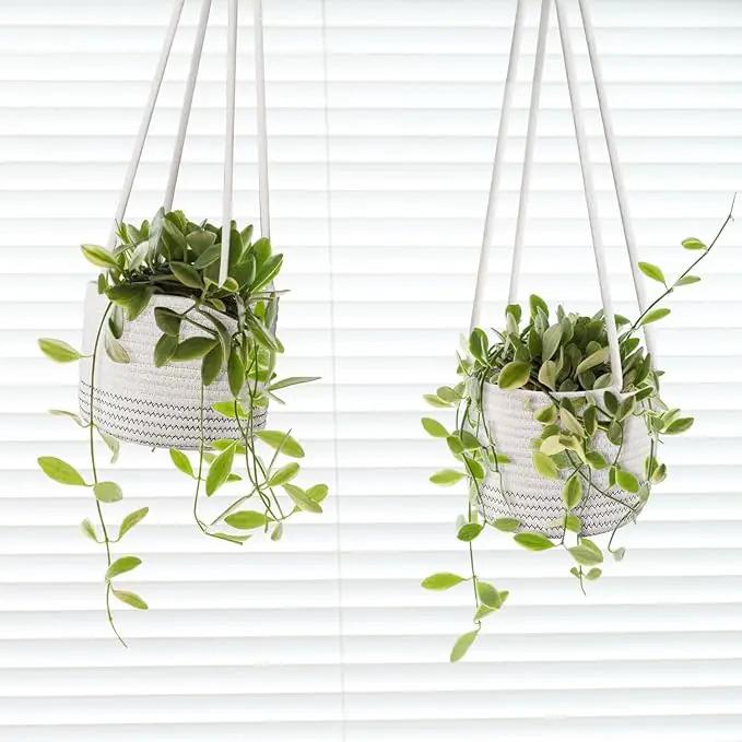 Flexzion Hanging Plant Basket Boho Cotton Rope Basket Indoor Hanging Planter, Up to 7" Flower Pot, Macrame Woven Modern Plant Holder, Storage Bin Organizer, Home Decor with 20" Hanging Rope, White by GreenHaven Gardens