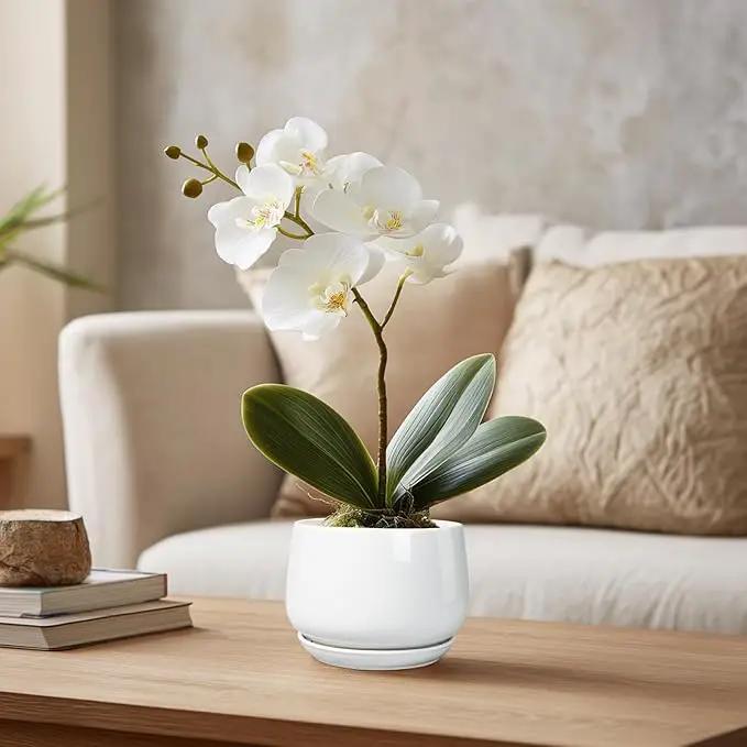 G EPGardening Ceramic Plants Pots - 4 inch Succulent Pots for Indoor Outdoor, Small Planter with Drainage Hole & Saucer, Round Planter, Modern Flower Pot, Office Decor, Plant Lovers Gifts, White by GreenHaven Gardens